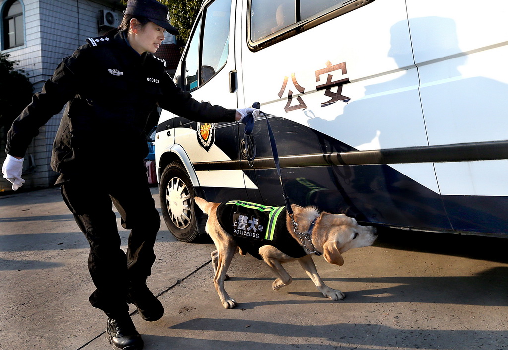 1月14日，训导员杨建萍在引导警犬“乖乖”进行搜爆训练 新华社记者凡军摄
