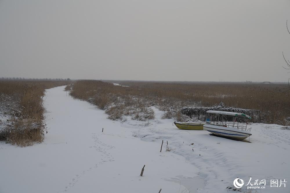 �������������ͷ���������֫h�����̳���