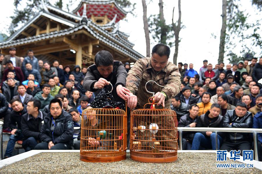 1��24�գ��ڹ���ʡǭ�������嶱�������ݽ����أ��������񰮺��ߴ��Ż�ü��ǰ��������