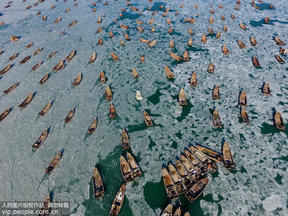 遼寧大連：海冰范圍擴大 漁船“冰封”海面