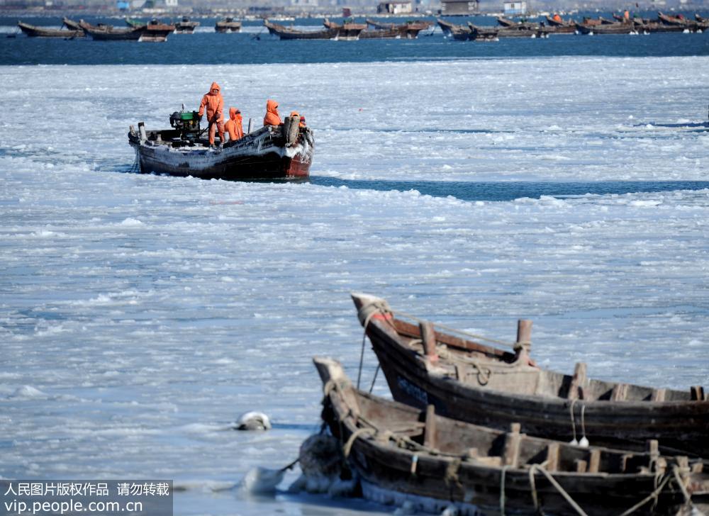 遼寧大連：海冰范圍擴大 漁船“冰封”海面【6】