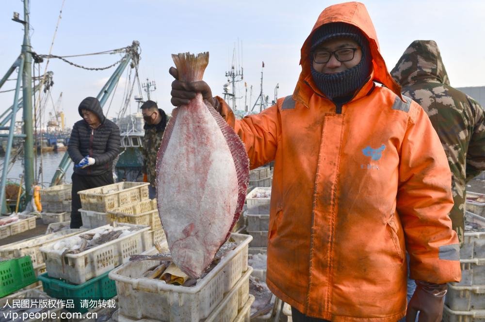 山東榮成：漁民海裡“撈年貨”