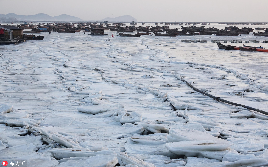 黃渤海進入嚴重冰期 遼東灣海冰近60海裡【4】