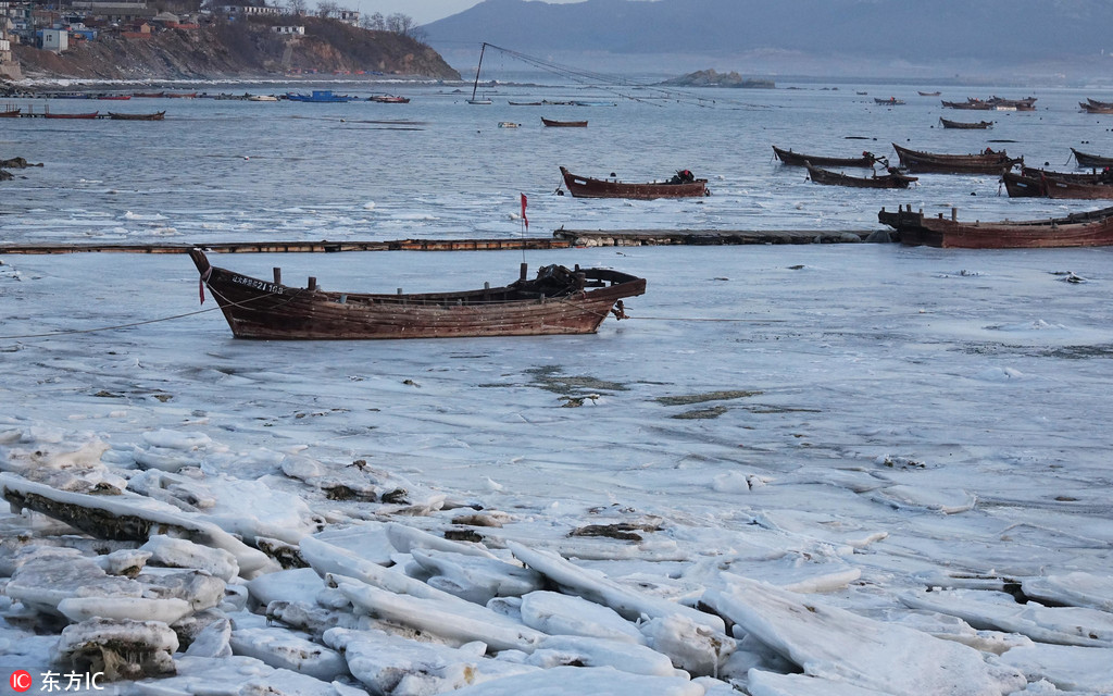 黃渤海進入嚴重冰期 遼東灣海冰近60海裡【2】