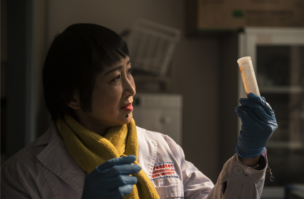 6.進行土壤分析實驗。(潘瑜攝影)