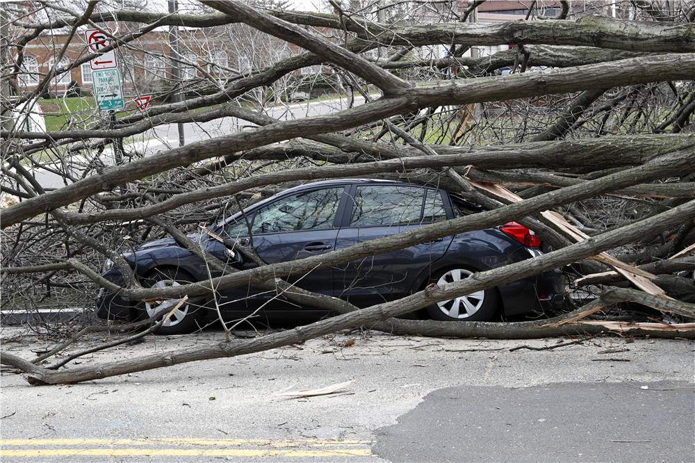 3��2�գ��������׶���ʢ�٣����ε��Ĵ�������·�ߵ������ϡ��»��������ľ����