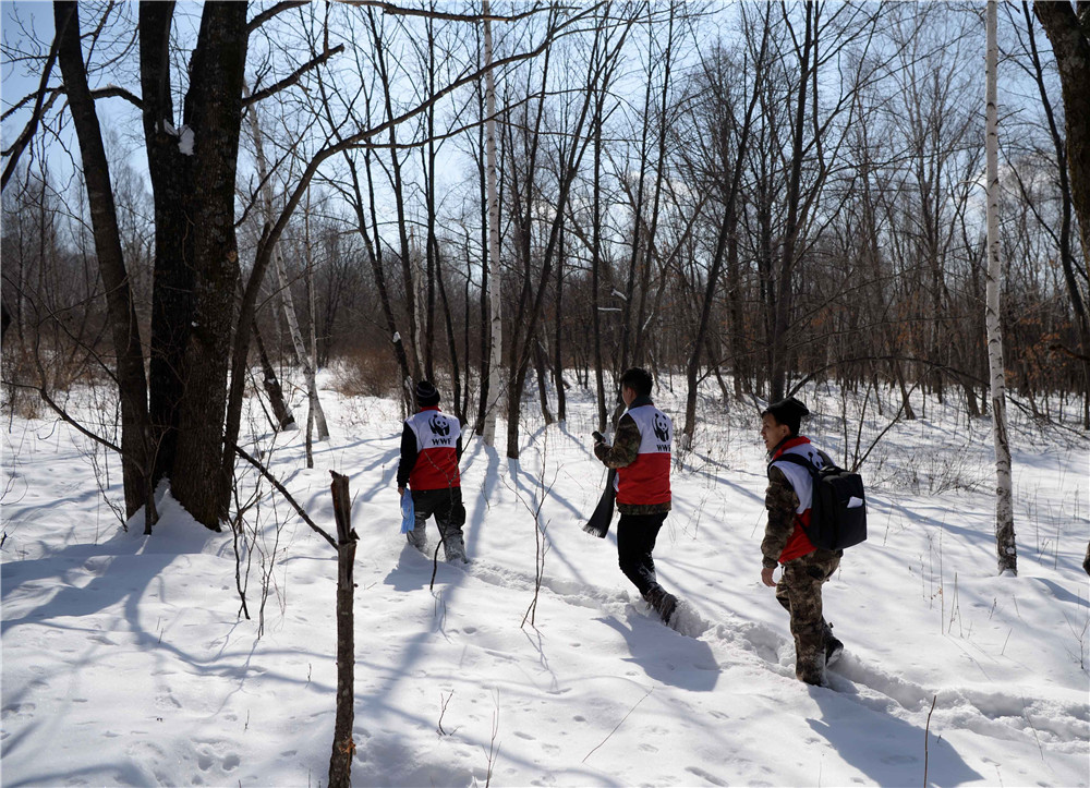 3月5日，绥阳林业局队的队员在比赛过程中。