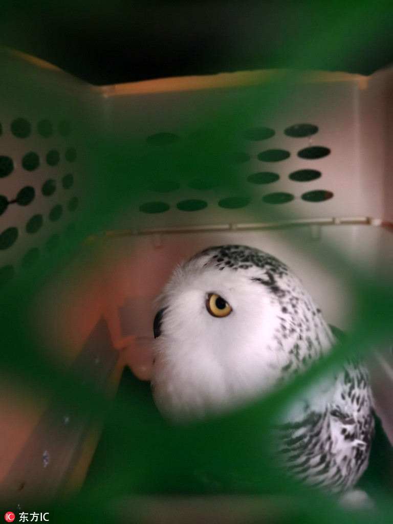 �й������״�����ѩ�^ ��Ͳ������һͬ�ִ�ɶ���9��