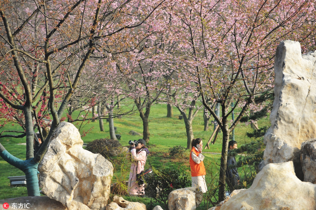 3��9�գ��人����ӣ԰�ڵ�ӣ����Ȼ���š�/����IC