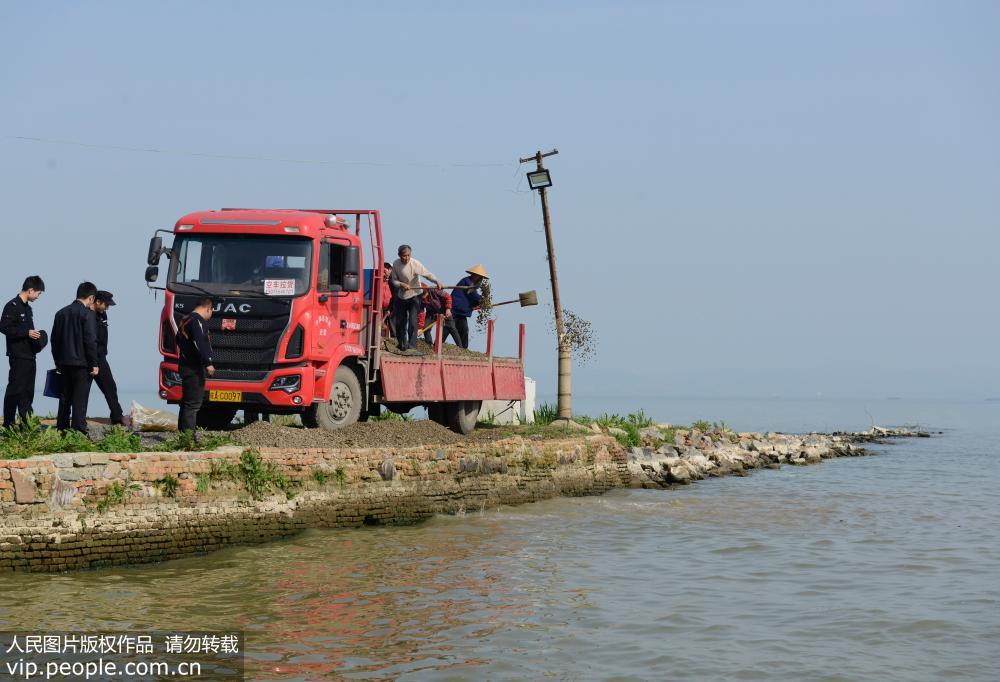 5000����͵������ȫ���Ź鳲����4��