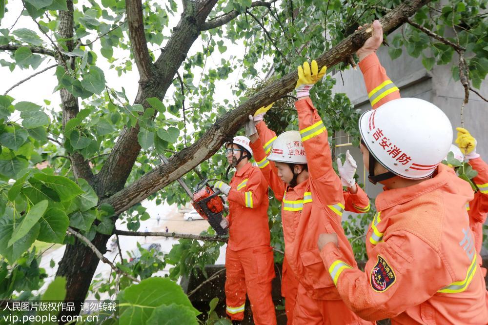 5月7日，在江西省峽江縣羅田鎮安山村，消防官兵在鋸切樹枝。