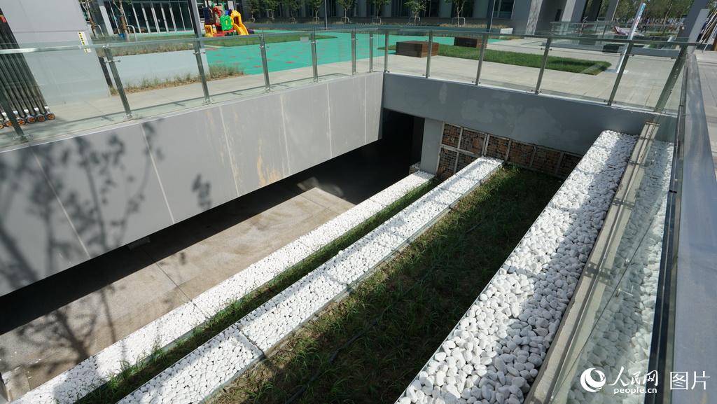 市民服務中心引入“海綿城市”理念，營造“雨水花園”。利用雨水花園、下沉式綠地、生態濕地等設施，新區可實現中小降雨100%自然積存、淨化。（汪軍 攝）