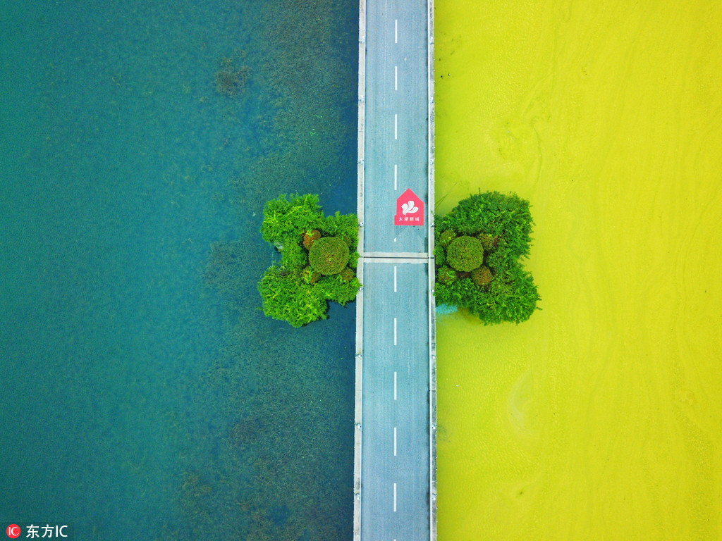 无锡太湖黄色蓝藻泛滥 一堤之隔，二个不同的水世界