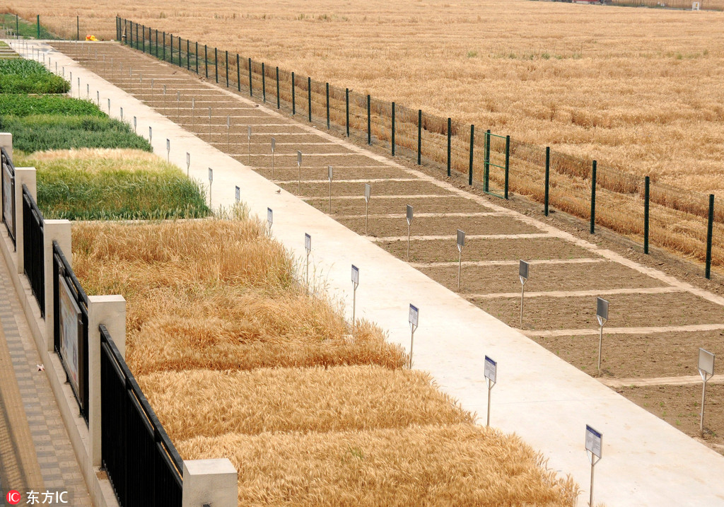 ���������ڡ�������� ��Ϊ���ж��ط羰�ߡ�2��