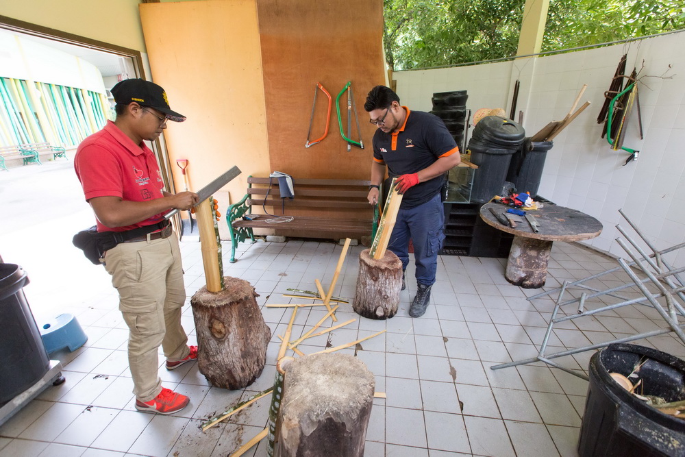 6月7日，在馬來西亞吉隆坡附近的馬來西亞國家動物園，飼養員阿克邁勒（左）與同事為大熊貓准備竹子。新華社記者朱煒攝