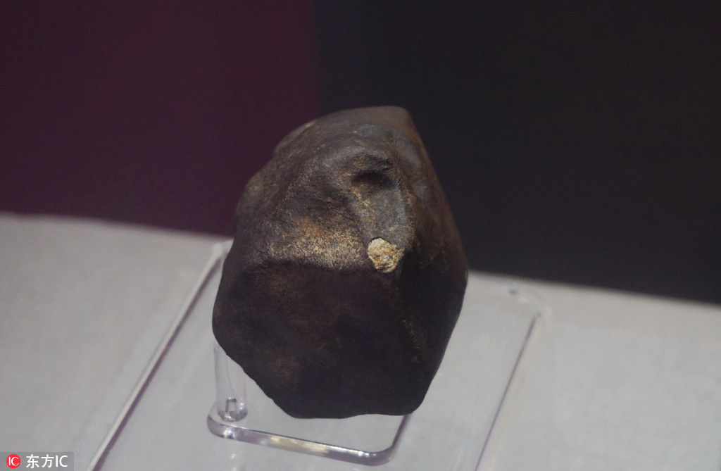 地球同齡的火流星隕石亮相杭州 曾經估數百萬元【4】