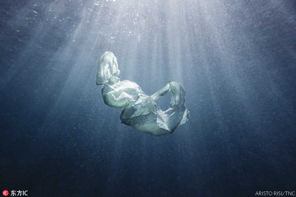 水源組獲獎者：母儀天下（Her Majesty）攝影師：Aristo Risi，澳大利亞介紹：膠袋在它的自然棲息地海洋中沉殿。昔日的萬用發明，卻演變成毀滅萬物的元凶。人類是大自然的一部份，保護大自然本來就是我們的責任。拍攝於2017年殼港市。