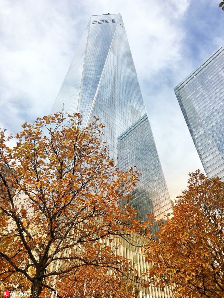 城市與自然組獲獎者：大蘋果市的深秋（Autumn in the Big Apple）攝影師：Yonca Ables，美國介紹：拍攝於2017年11月的紐約世界貿易中心。