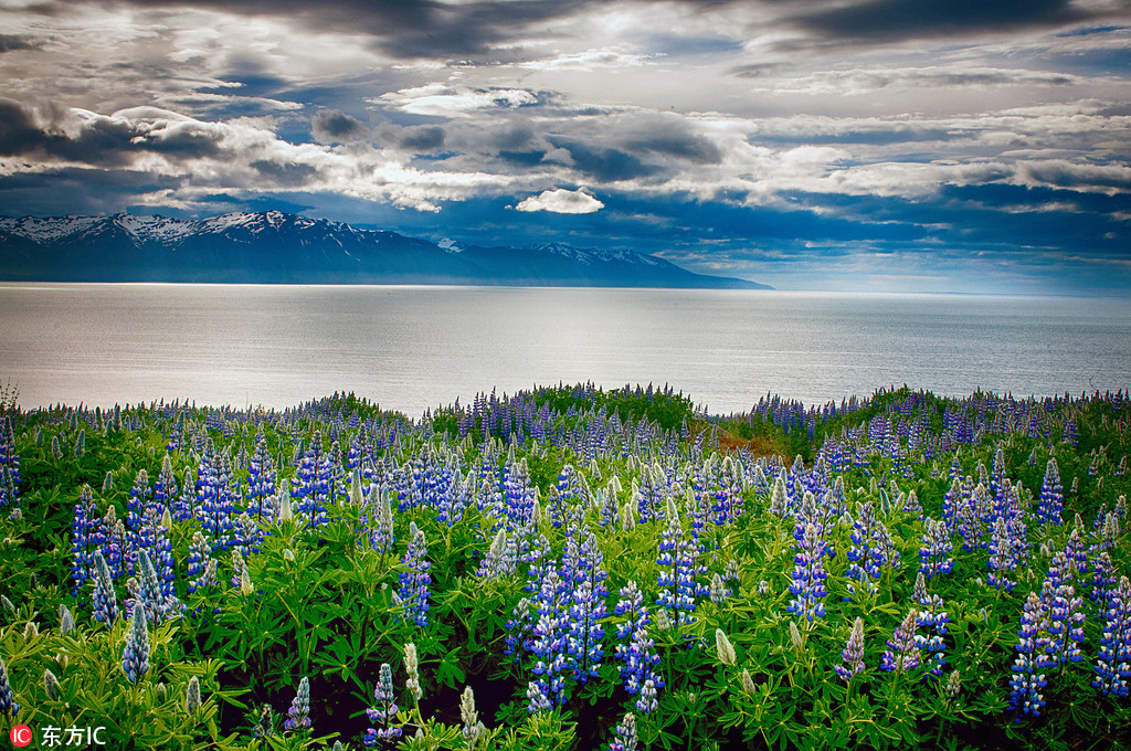 攝影師拍冰島夏季美景 天然魅力美到極致【3】