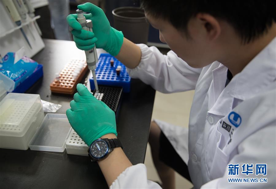7月31日，一名科研人員在中華鱘研究所實驗室裡工作。