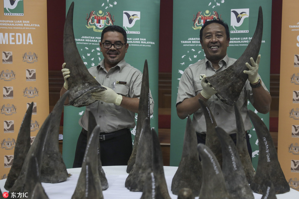 马来西亚当局查获50件非洲犀牛角