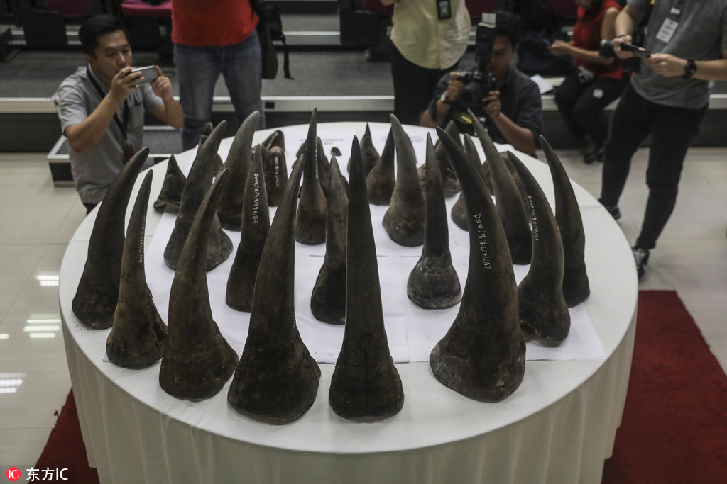 馬來西亞當局查獲50件非洲犀牛角【3】