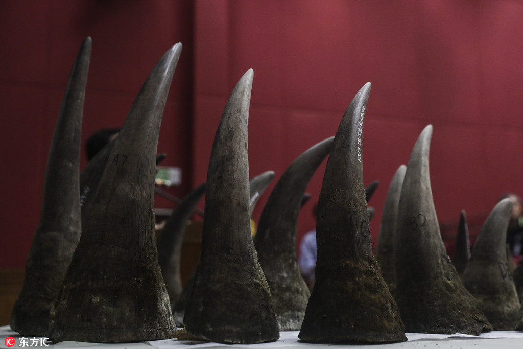 馬來西亞當局查獲50件非洲犀牛角【2】