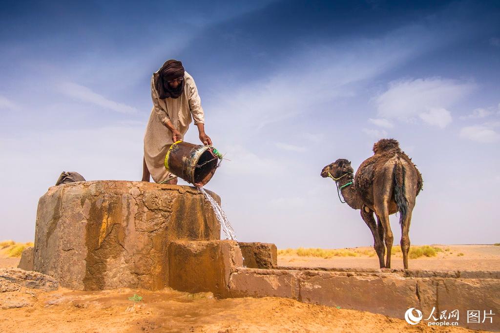 貝都因人是以氏族部落為基本單位在沙漠曠野過游牧生活的阿拉伯人。主要分布在西亞和北非廣闊的沙漠和荒原地帶。“貝都因”為阿拉伯語譯音，意為荒原上的游牧民、逐水草而居的人，是阿拉伯民族的一部分。陳志文/攝