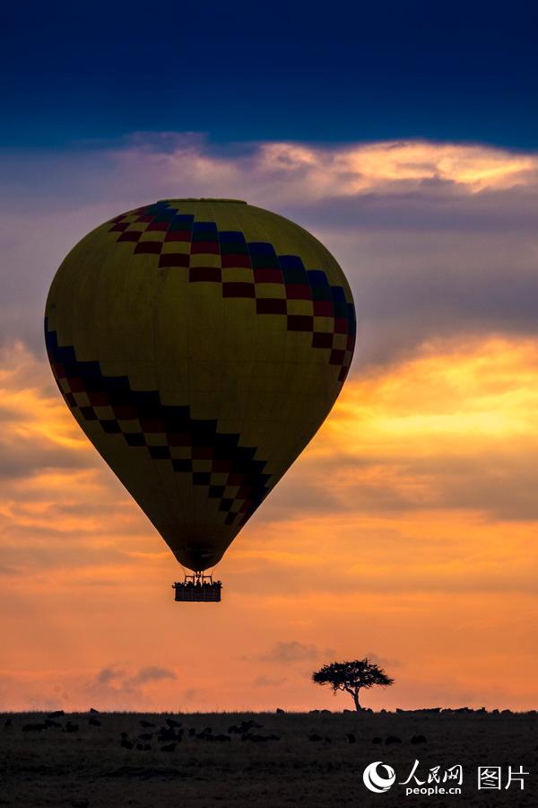 肯尼亞馬賽馬拉國家公園是世界上“世界三大最適合放飛熱氣球”的地點之一。陳志文/攝