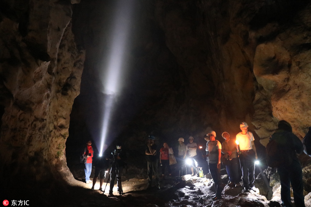成都科學家科考巨大未開發溶洞 拍攝珍貴洞穴生物