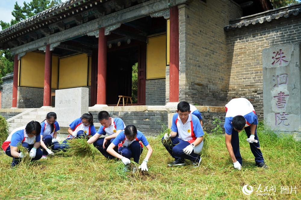 圖為濟南市第二十七中學學生在洙泗書院義務勞動。