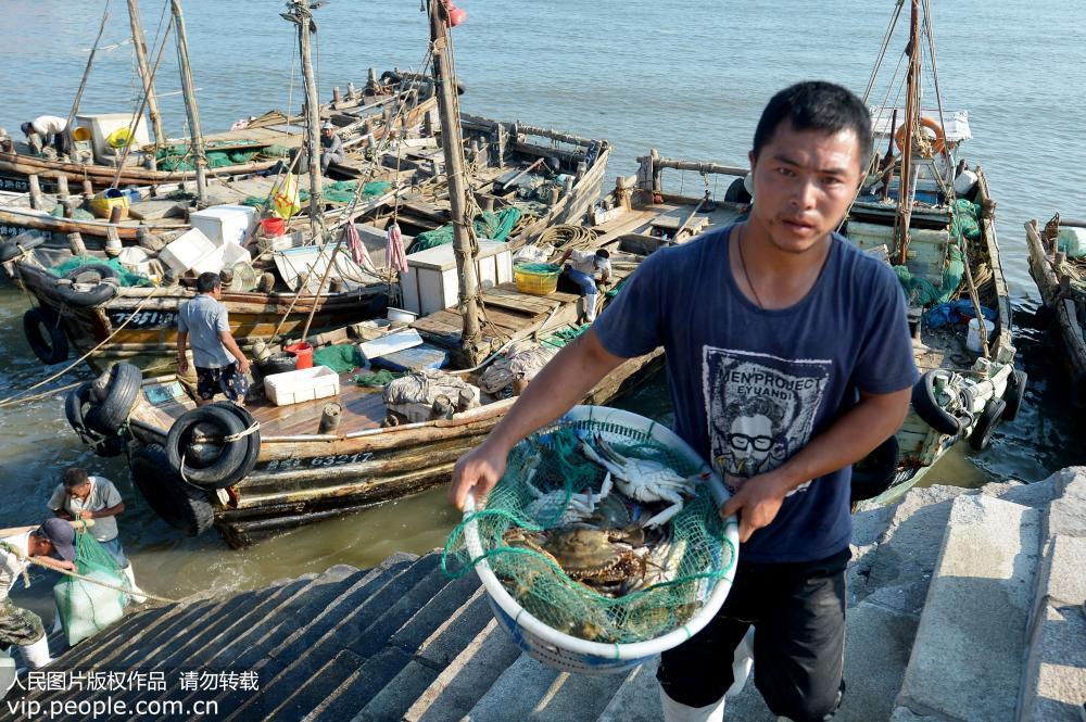 青岛:休渔期结束 首轮小海鲜抢占开海市场