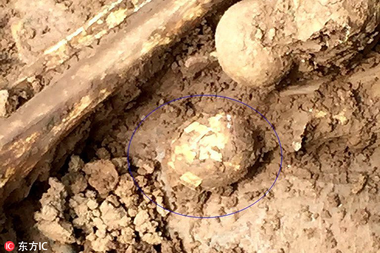 貴州遵義發現一枚疑似2000年前的雞蛋