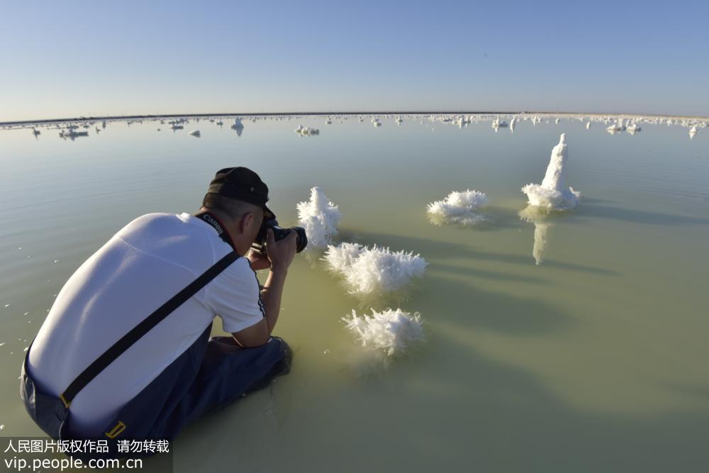 新疆瑪納斯鹽湖：“鹽花”綻放似“冰花”
