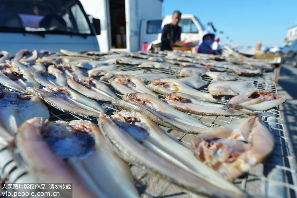 2018年10月27日，在青島市嶗山區港東碼頭拍攝的漁民晾晒的魚干。