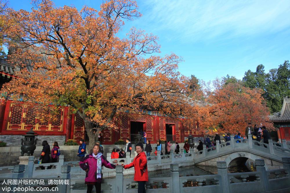 10月28日，游客在北京香山公園合影留念。