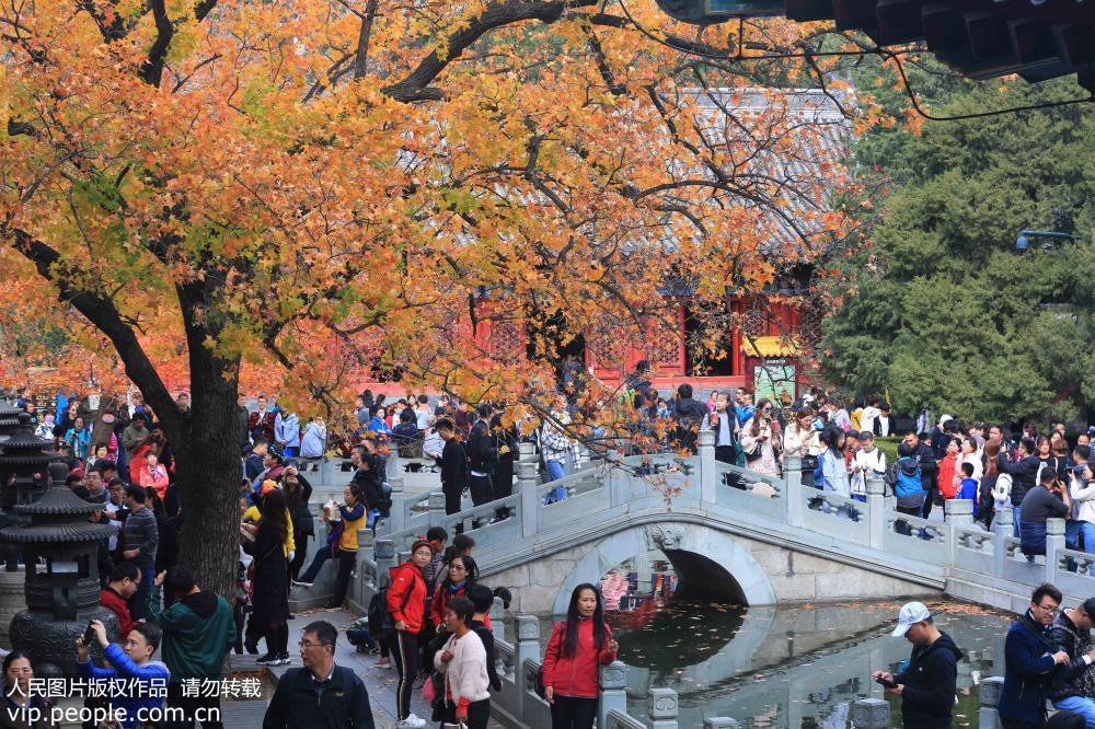 10月28日，游客在北京香山公園觀賞紅葉。