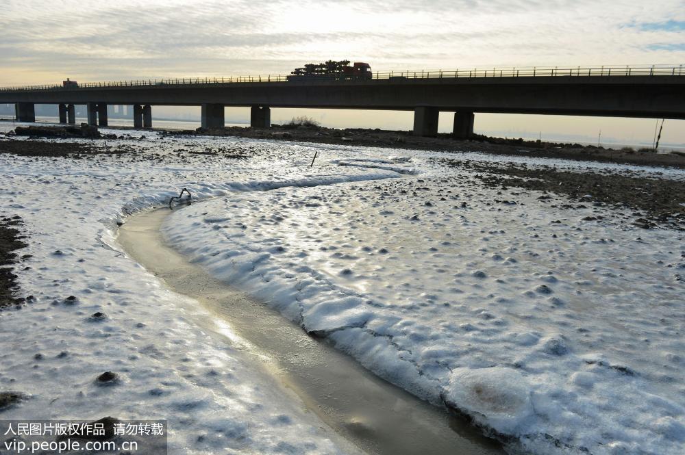 2018年12月9日，拍攝的山東青島膠州灣沿岸一帶出現的大范圍海冰。