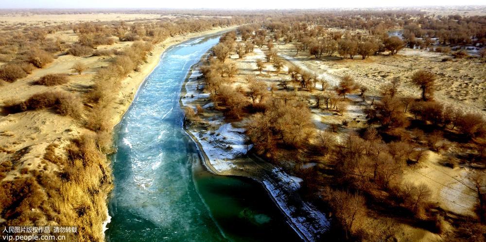 12月9日，生態水流經塔裡木河下游阿拉干河段。