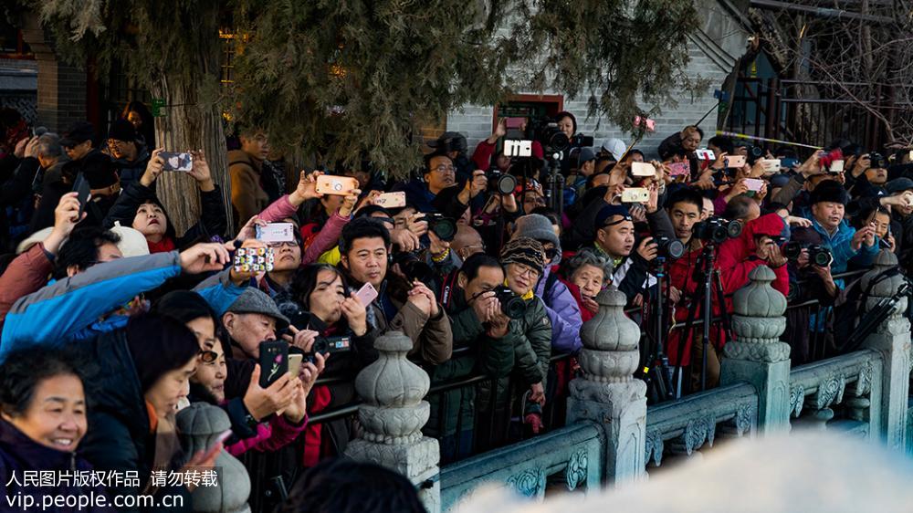 12月18日，北京頤和園，攝影愛好者們在寒冷中耐心等候“金光穿洞”美景。