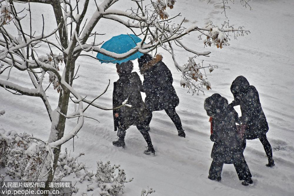 12月27日，行人在山東省煙台市福山區街頭冒雪出行。