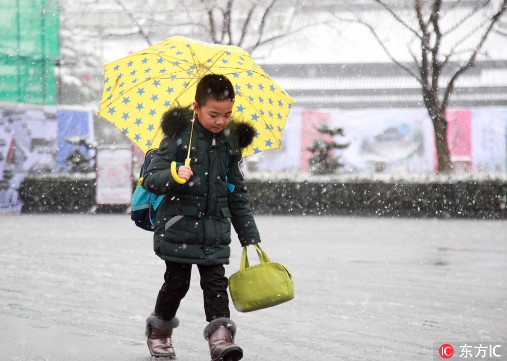 南京迎來2019年首場大雪【6】