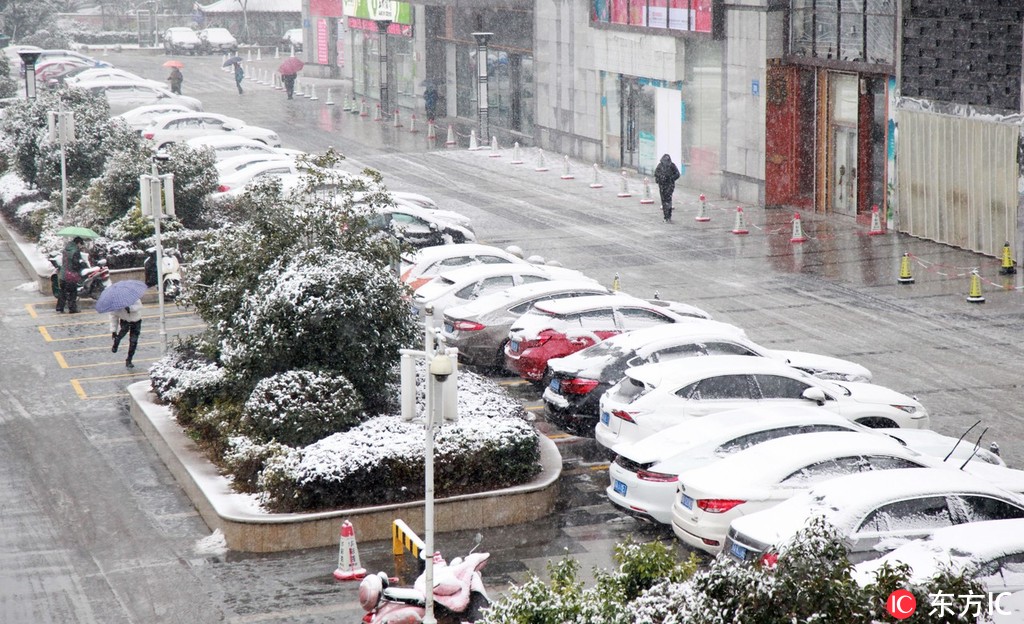 南京迎來2019年首場大雪【5】
