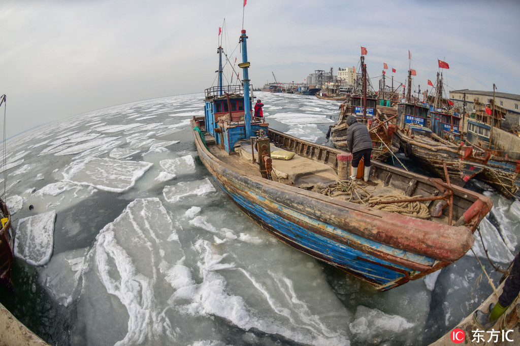 1月9日，山東省煙台市萊州海廟港，漁船停泊在浮冰裡。