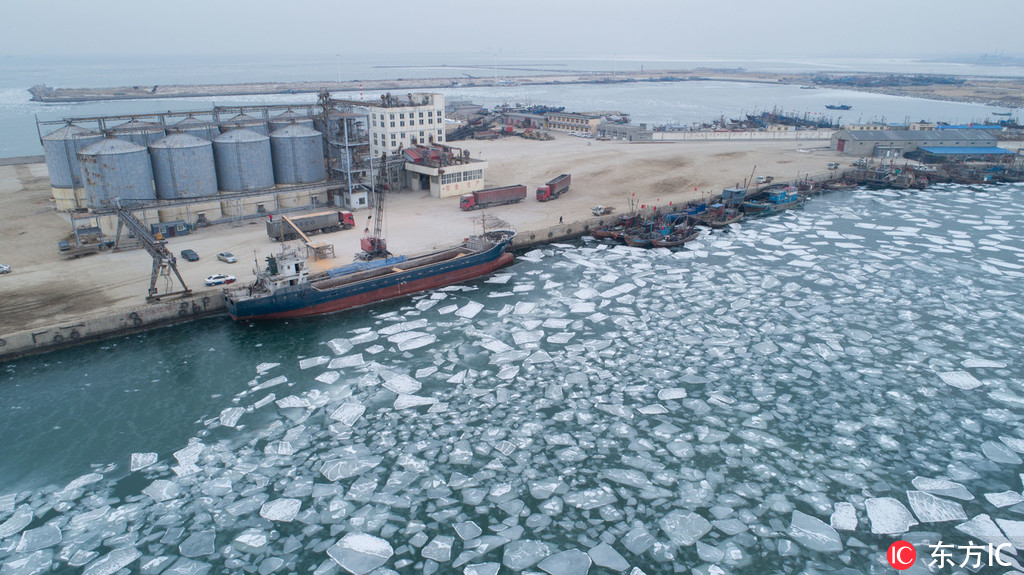 1月9日，山東省煙台市萊州海廟港，漁船在浮冰裡穿行。