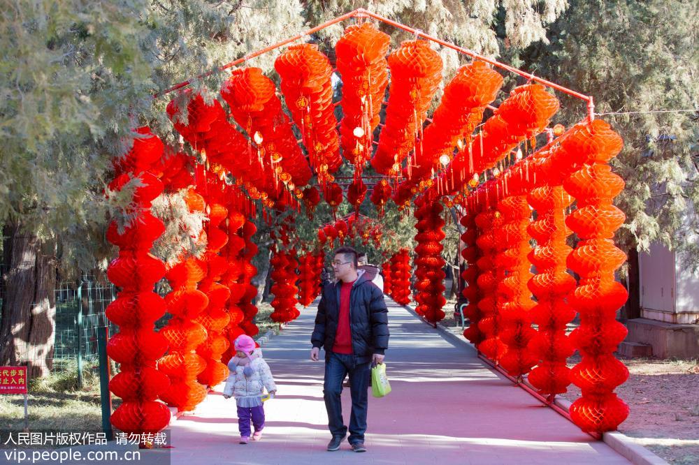 北京地壇公園紅紅火火迎新年【2】
