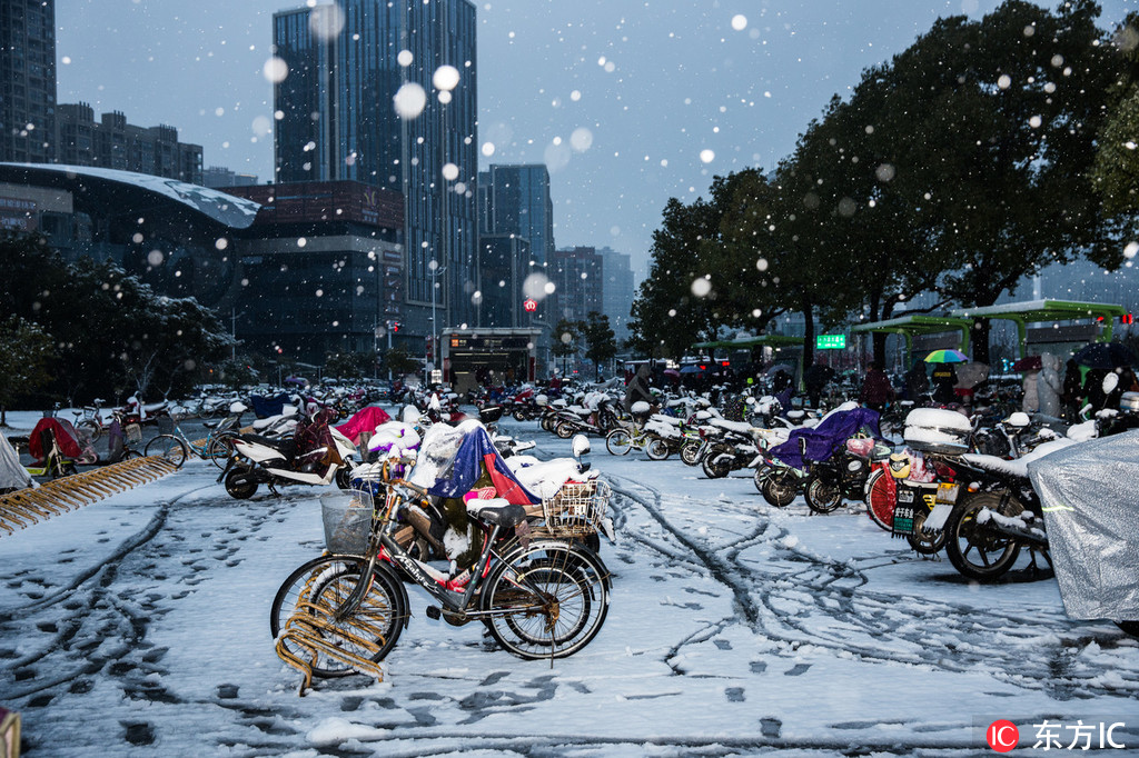 1月31日，南京昨晚到今晨迎來一場大雪，清晨市民踏雪出行，環衛工人清掃道路積雪，保証市民出行。周文軍/東方IC