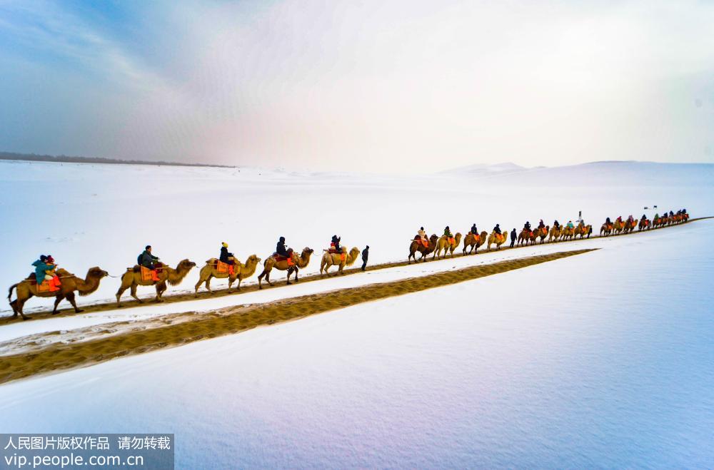 2019年2月7日，敦煌喜降瑞雪，游客騎駱駝暢游鳴沙山，觀賞大漠雪景。（王斌銀/人民圖片）