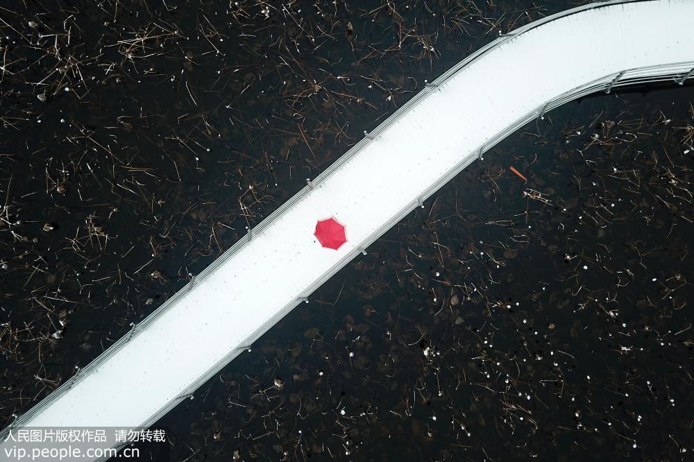 2019年2月8日，無人機拍攝雪后的江蘇省淮安市白馬湖景區。（萬震/人民圖片）