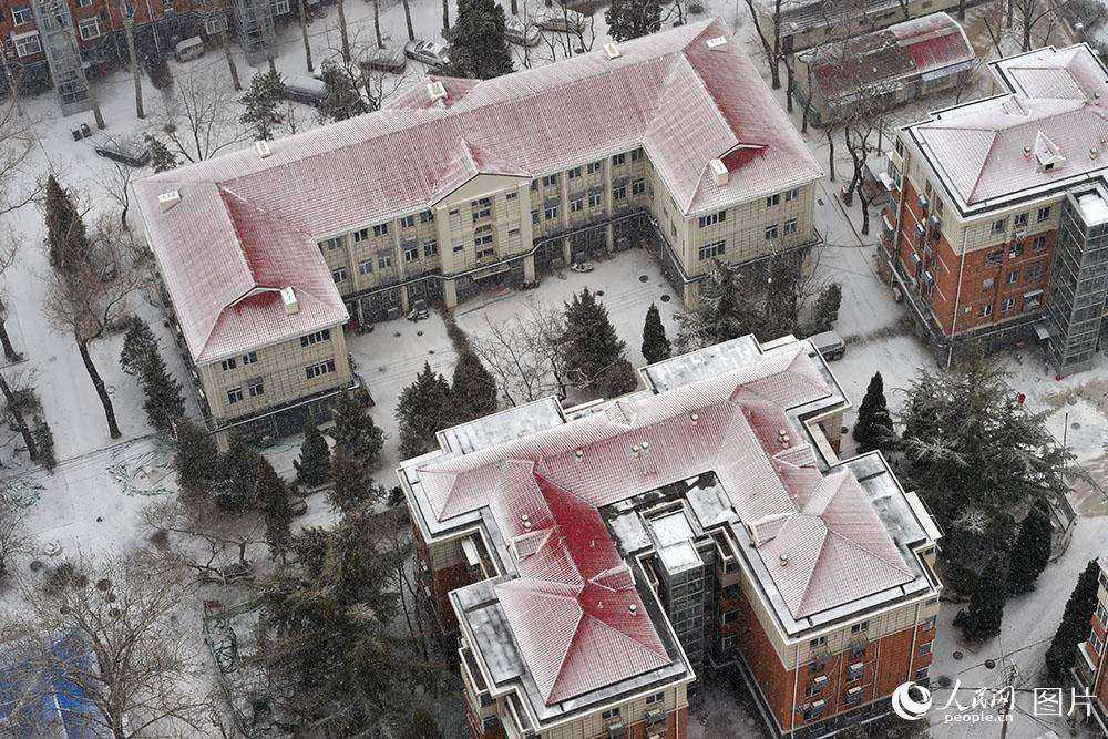 北京城區迎降雪 孩子撒歡玩雪忙【10】